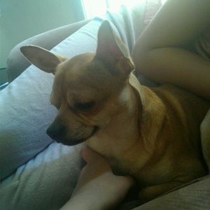 Meet your Posher, Michaela